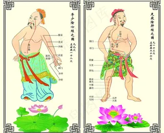 中医药文化图片