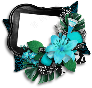 花样相框图片
