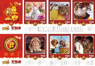 2011兔年日历挂历