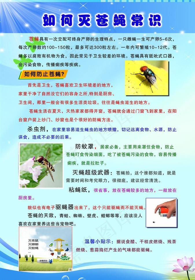 如何灭苍蝇常识图片psd模版下载