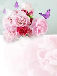 稻草花或永恒 稻草花或永恒