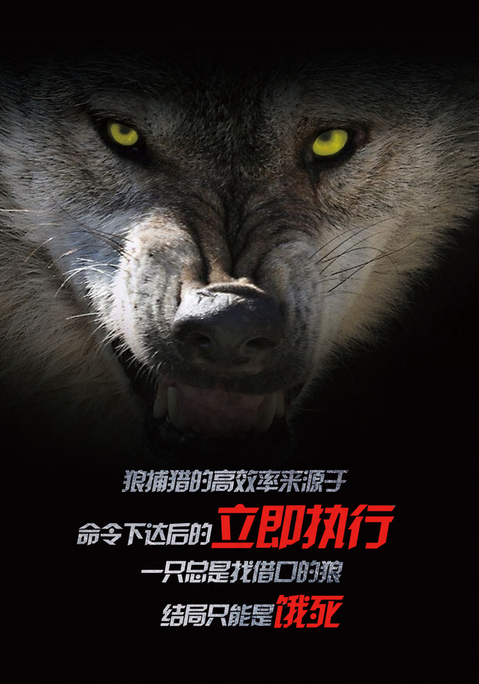 狼性团队宣传海报14(5512X7874(DPI:200))psd模版下载
