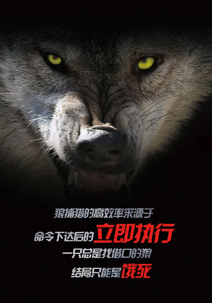 狼性团队宣传海报14(5512X7874(DPI:200))psd模版下载