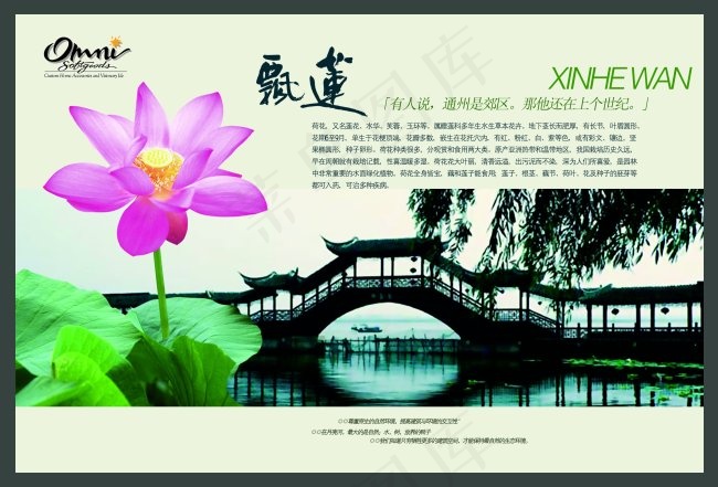 飘莲psd模版下载