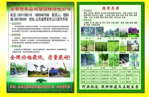 苗木宣传页图片