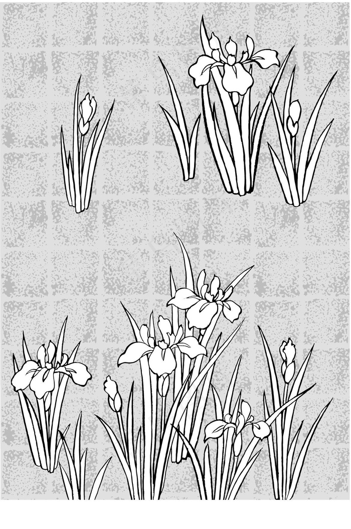 矢量线绘制flowers-44（藤...