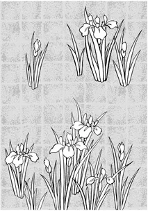 矢量线绘制flowers-44（藤...