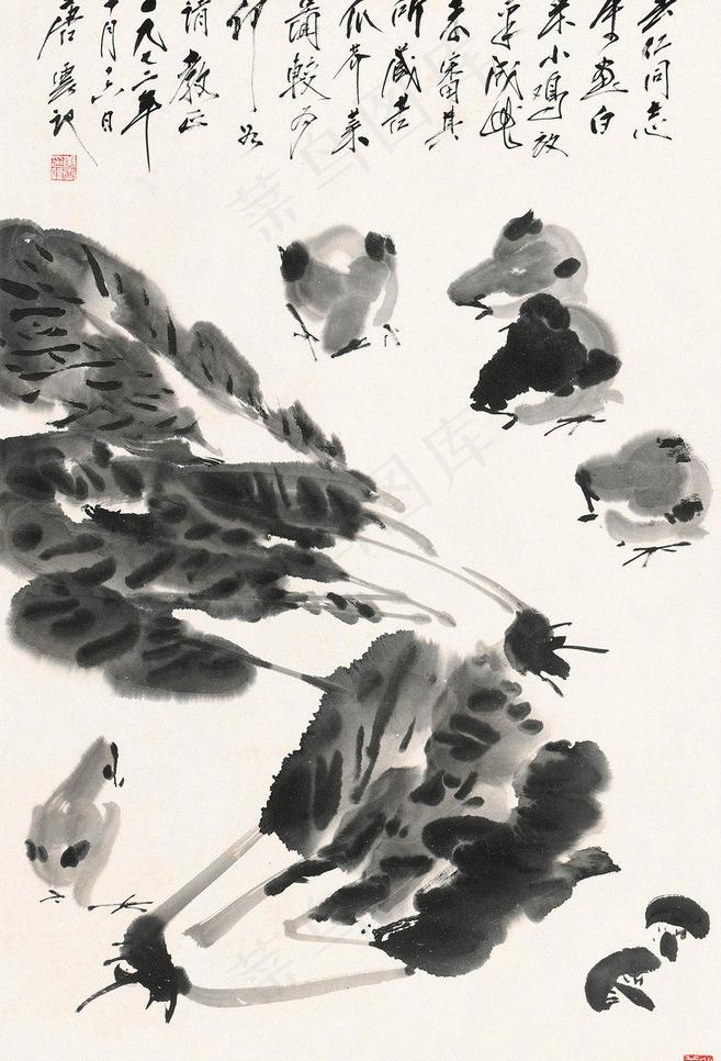 蔬菜小鸡图片