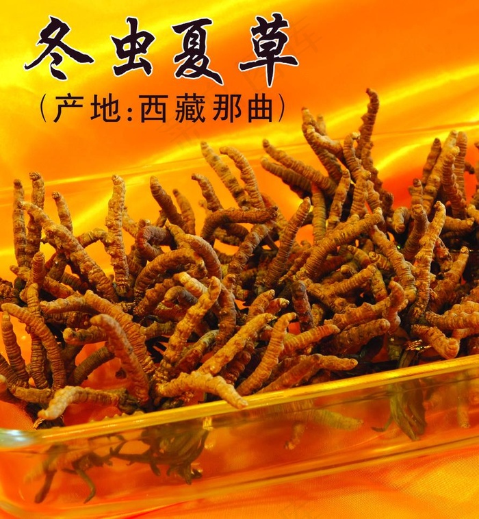 补品海报图片psd模版下载