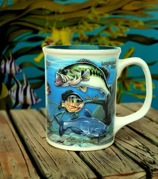 美国探险杯子鱼类图案图片