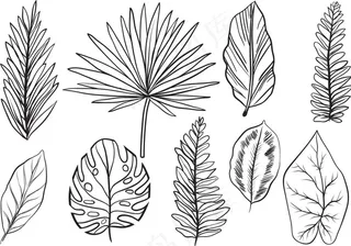 手绘线性树叶矢量素材