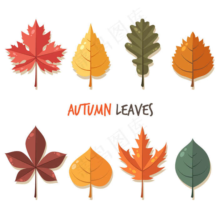 矢量树叶素材元素