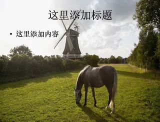 奔驰的宝马高清动物风景ppt封面...