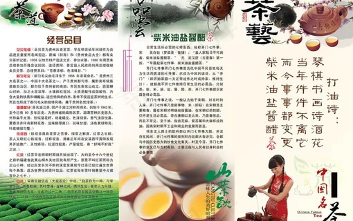 茶叶三折页图片