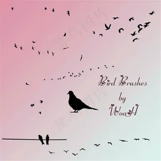 小鸟和鸟群装饰PS笔刷