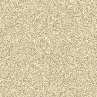 探险员装饰素材 探险员装饰素材