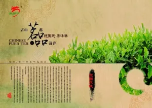 茶叶画册素材下载