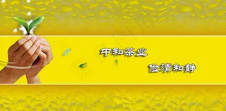 铁观音茶叶公司flash