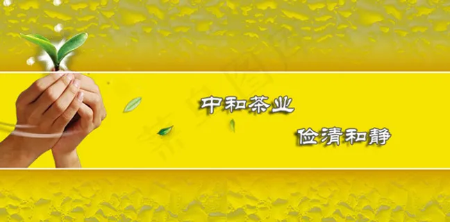 铁观音茶叶公司flash 铁观音茶叶公司flash