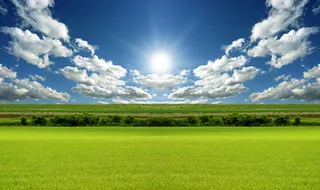 绿色田野图片素材