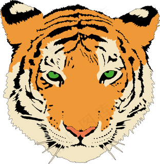 老虎的剪辑艺术