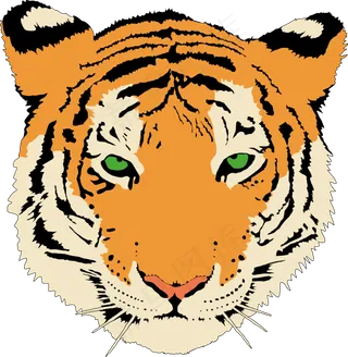 老虎的剪辑艺术