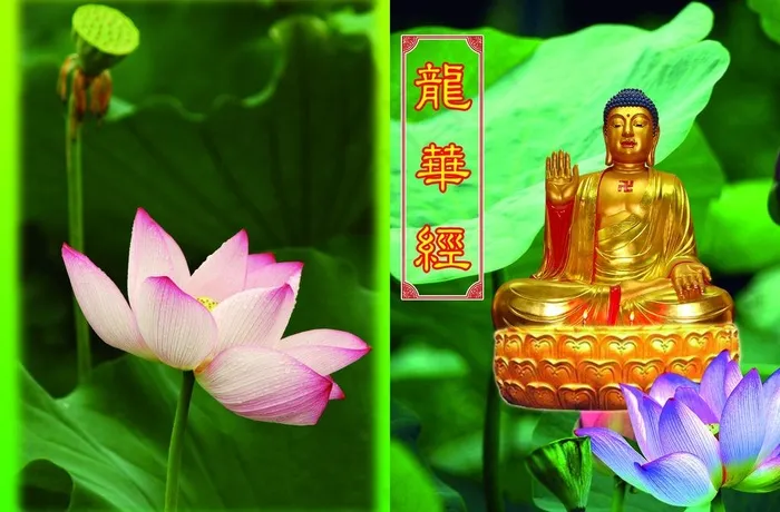 龙华经图片(3142X2244(DPI:300))psd模版下载