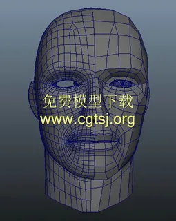 3D人面像游戏模型 3D人面像游戏模型