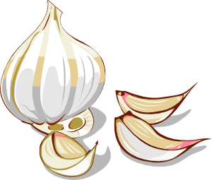 大蒜的剪辑艺术