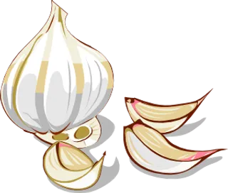 大蒜的剪辑艺术