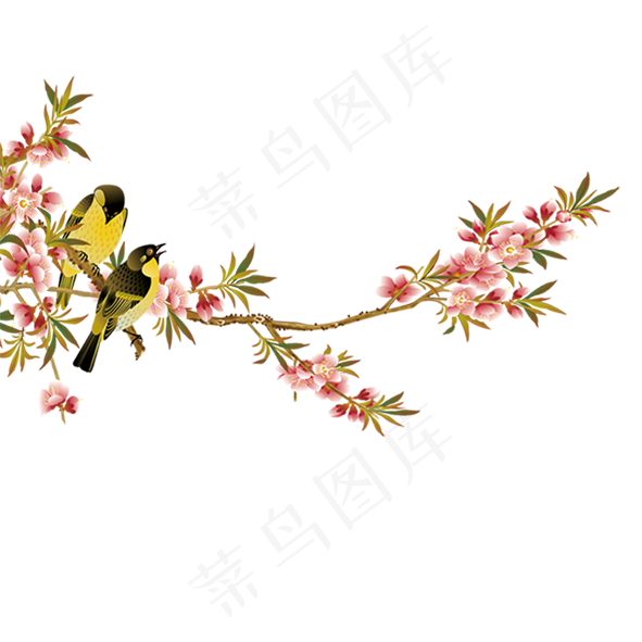 逼真小鸟动物设计PNG素材