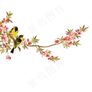 逼真小鸟动物设计PNG素材