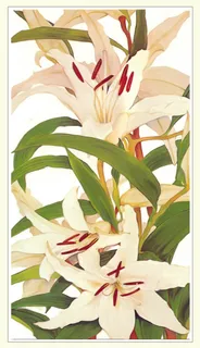 油画鲜花装饰画图片 油画鲜花装饰画图片