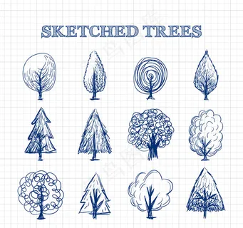 手绘线描树木草图矢量