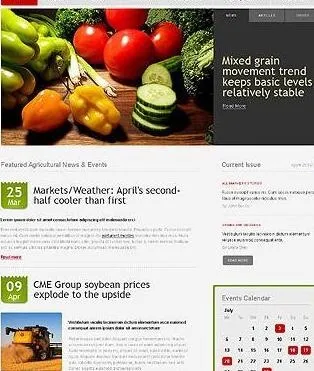 简洁农产品企业css xhtml网...