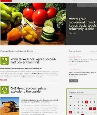 简洁农产品企业css xhtml网...