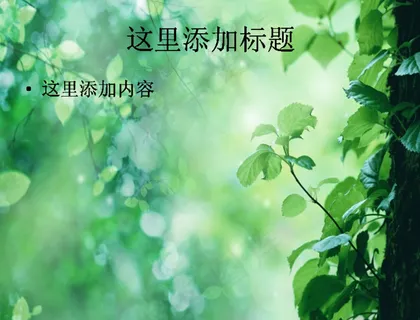 白桦树旁的四季景色ppt图片(4...