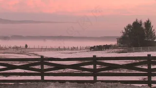 在雪景股票视频马 视频免费下载