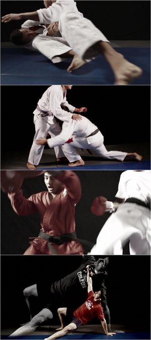 国外武术双人对战格斗术