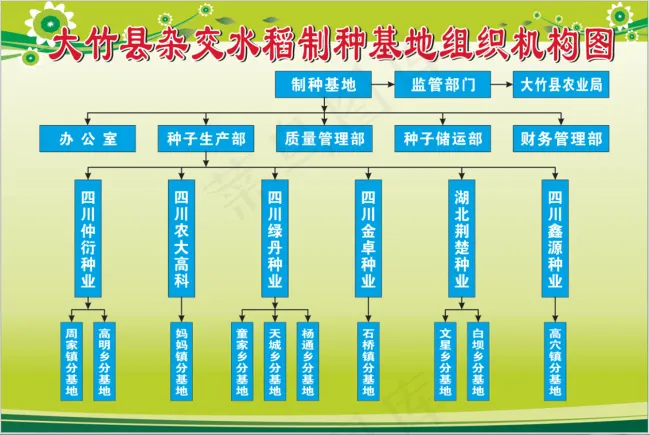 组织机构图cdr矢量模版下载