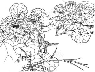 花鸟图 黑白图图片