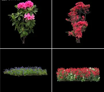 已扣好的鲜花素材图片