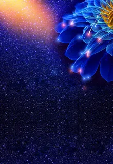 高端绚丽海报设计