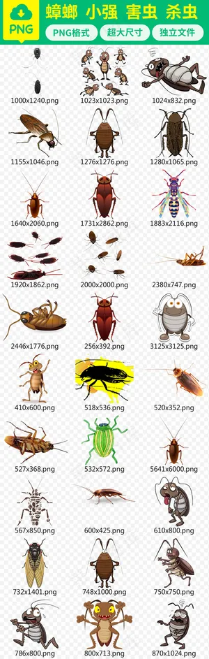 蟑螂小强害虫杀虫剂海报png图片素...