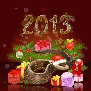 圣诞快乐2013 336