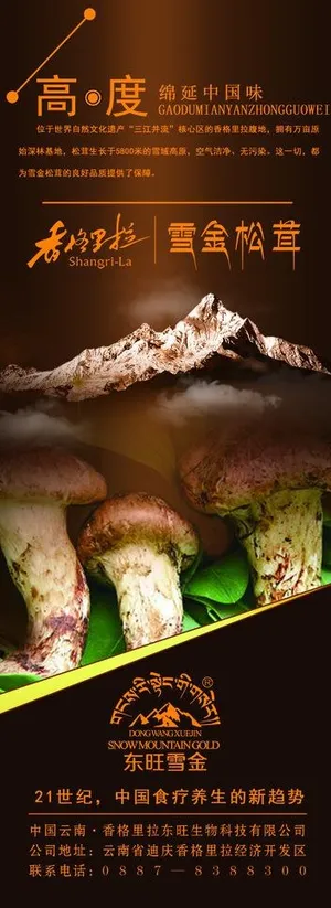 松茸易拉宝图片