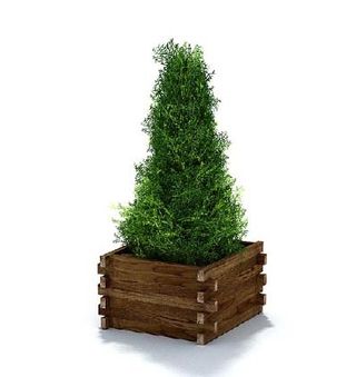 植物国外精品素材装饰素材免费下载装...