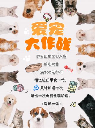 宠物店宣传海报