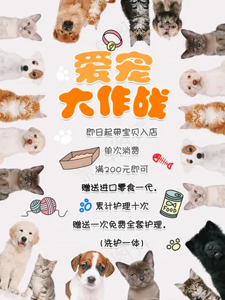 宠物店宣传海报