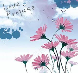 向日葵花卉装饰图片